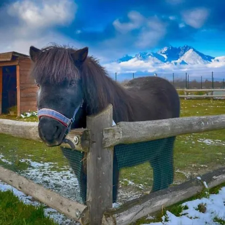 Апартаменты Eli Tatragolf *