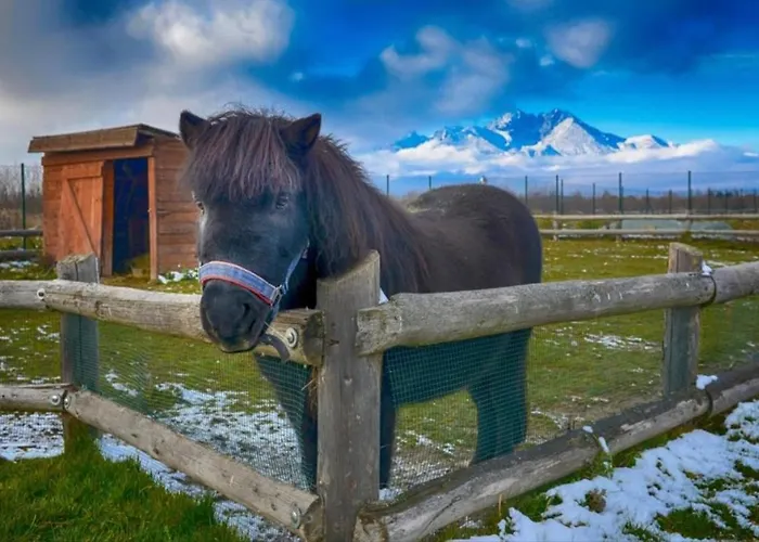 Apartment Eli Tatragolf *